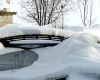 winter