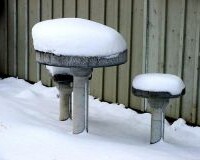 winter